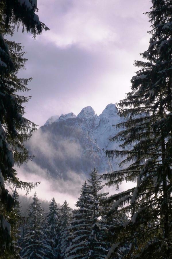 Mountain Loft Villa Tarvisio Luaran gambar